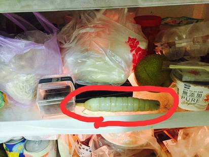 姊姊冷藏「條狀物」不准吃 網友解答超狂! | 網友把冰箱裡的條狀物拍下來。