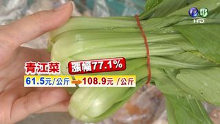 【午間搶先報】比肉貴! 青江菜每公斤破百元