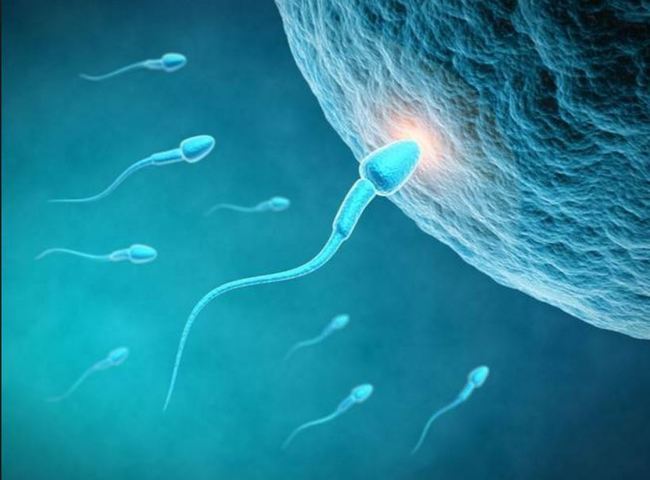 讓精子無法游泳 英研發男性暫時不孕藥 | 華視新聞