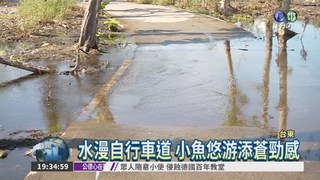 琵琶湖水世界 颱風意外"造景"