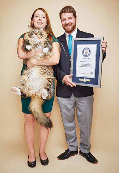 【影】世界最長的貓 身長竟有119公分 | 