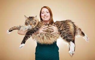 【影】世界最長的貓 身長竟有119公分