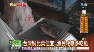 台灣鯛價格崩盤 比菜還便宜!
