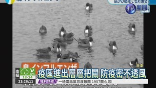 日本爆禽流感 撲殺31萬隻家禽