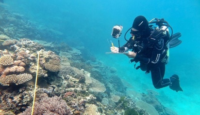 暖化害慘珊瑚礁 澳洲大堡礁像「被煮了」 | 