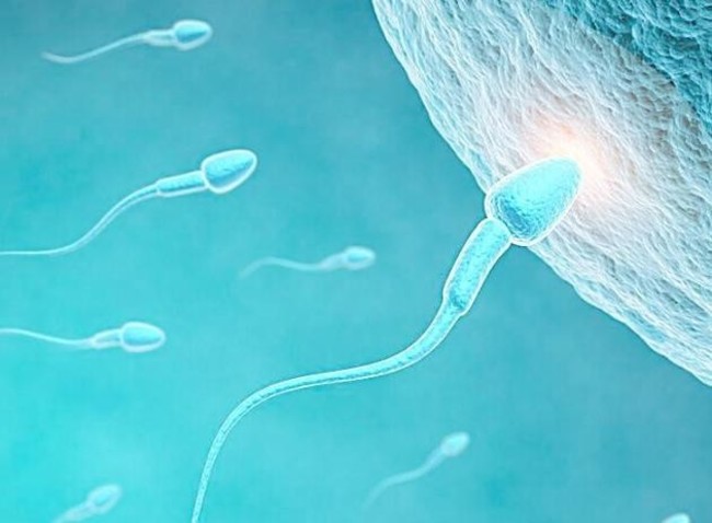 日研究人造“精子幹細胞” 可望解不孕難題! | 華視新聞