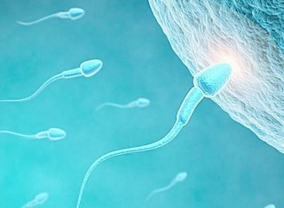 日研究人造“精子幹細胞” 可望解不孕難題!
