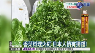 2016年度天菜 日人最愛"香菜"