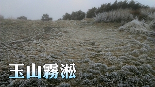 【影】冷氣團來襲 玉山-3.6度出現霧淞