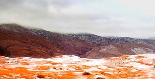 壯觀! 撒哈拉沙漠隔了37年再下雪