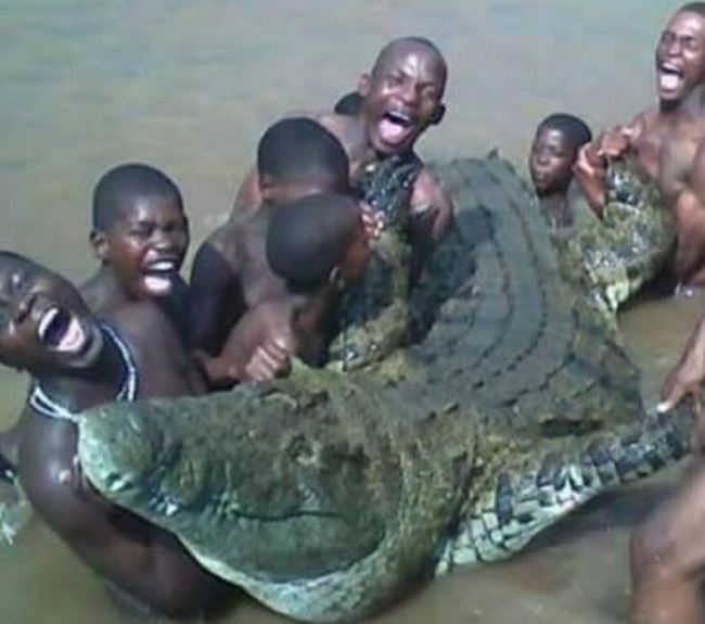 性侵母鱷魚治陽痿?! 南非3兄弟全被咬死 | 華視新聞