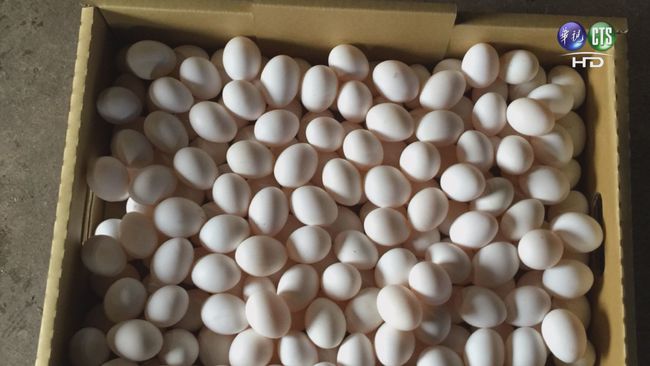 【午間搶先報】即日起禁賣散裝蛋 蛋價估漲2成 | 華視新聞