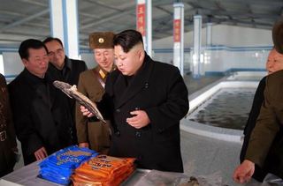 金正恩慰勞邊境士兵吃魚 竟爆集體拉肚子