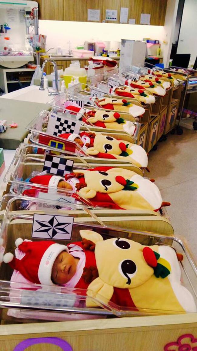 已融化! 耶誕寶寶可愛程度爆表 | 華視新聞