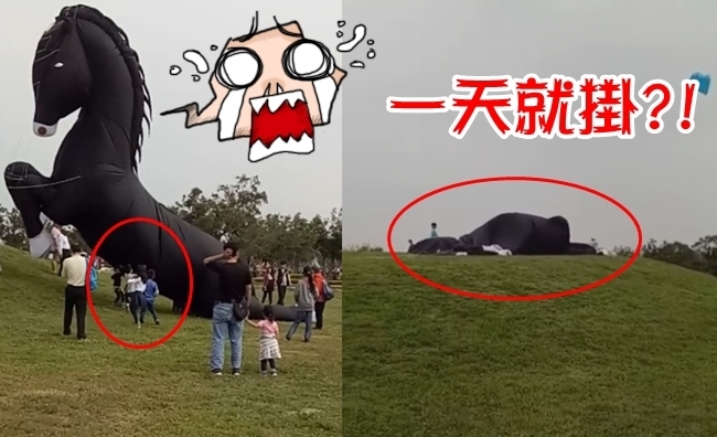 台中國際花毯節 小馬1天"被玩壞"?! | 華視新聞
