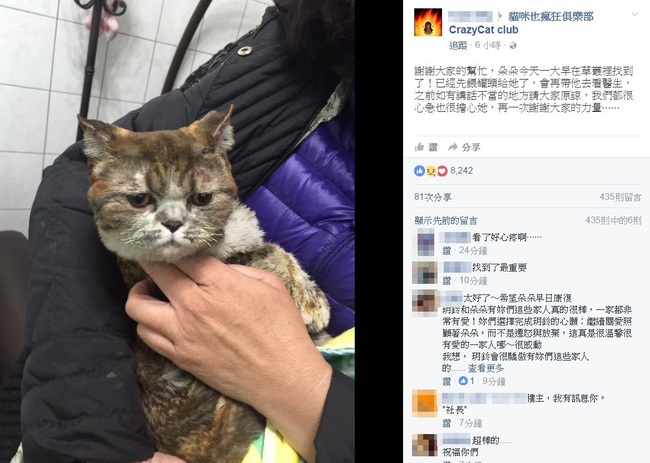 女孩為救貓咪喪生 另一隻貓咪終於找到了.. | 華視新聞