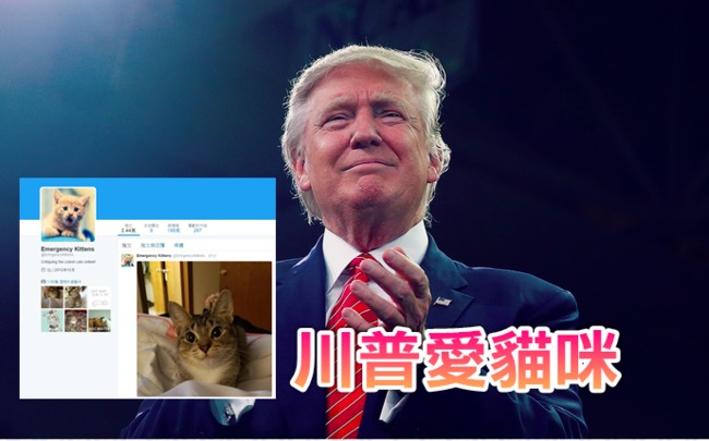 川普推特追蹤可愛小貓咪 被發現急退 | 華視新聞