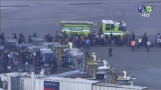 美佛州羅德岱堡機場傳槍擊 至少5死8傷