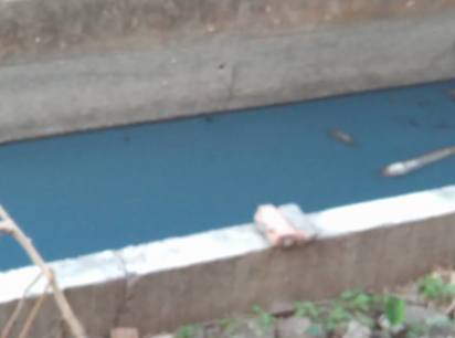 台中龍井排水溝變藍色! 疑遭工廠排放廢水 | 民眾拍到排水溝被污染變色。