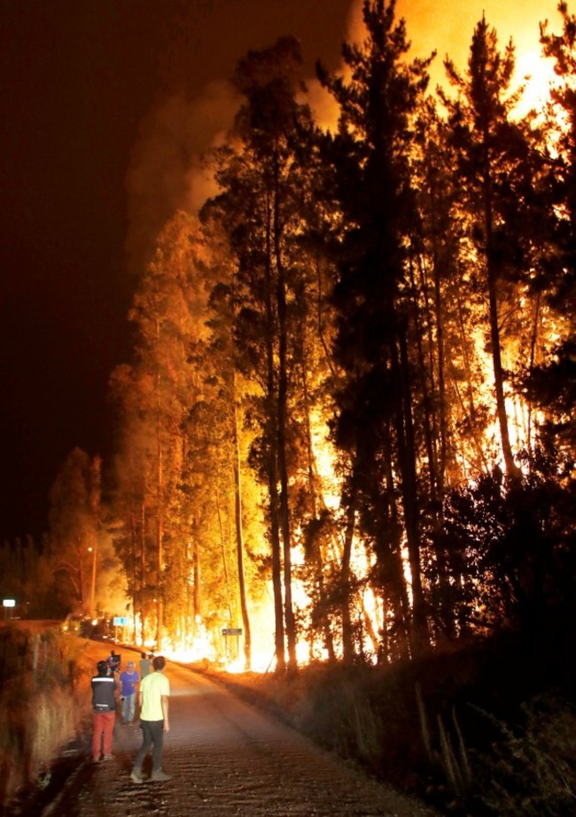 智利森林大火延燒 蓄意縱火可能性高 | 華視新聞