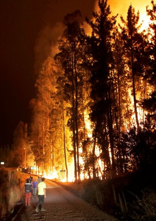 智利森林大火延燒 蓄意縱火可能性高