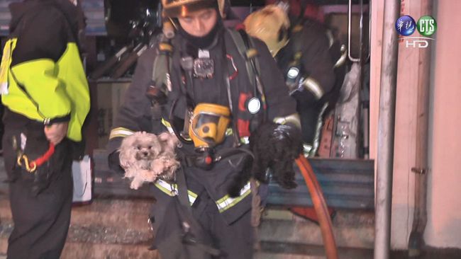 板橋寵物店火警29死 警消人工呼吸救回21毛小孩 | 華視新聞