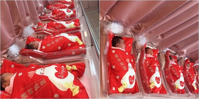 最萌紅包袋! 整間育嬰室滿滿雞年大紅包 | 華視新聞