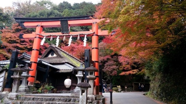 你做對了嗎? 日本神社參拜步驟公開! | 華視新聞