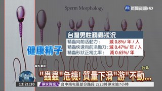 男性精蟲數銳減 不孕風險增高