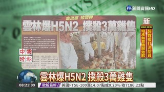 雲林爆H5N2 撲殺3萬雞隻