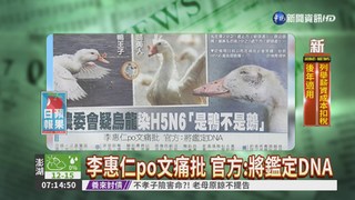 農委會烏龍? 染H5N6"是鴨不是鵝"
