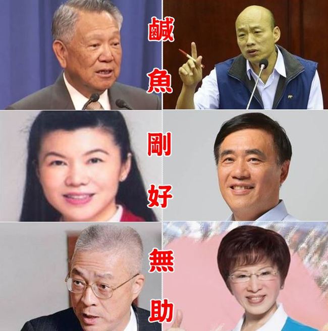 潘維剛角逐黨主席 李艷秋:「鹹魚剛好無助」 | 華視新聞