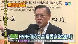台南3千火雞暴斃 證實染H5N6