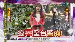 禽流感狂燒! 台南水雉園淪陷