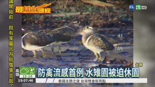 禽流感狂燒! 台南水雉園淪陷