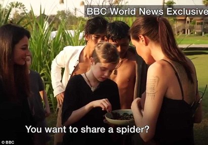 裘莉柬埔寨煮蟲蟲餐 大讚蜘蛛與蠍子好吃 | 