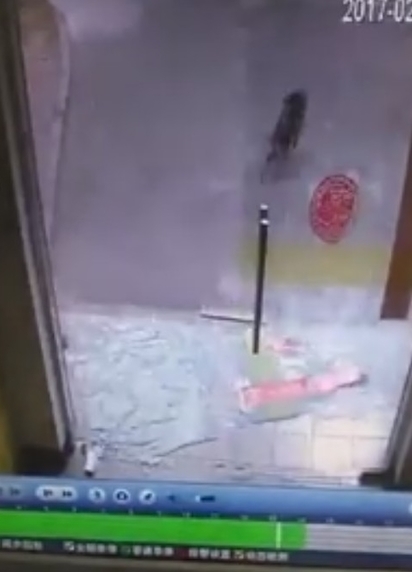 幫幫忙! 玻璃門被撞破 他卻找不到”肇事者” | 小狗撞上玻璃門後 逃之夭夭