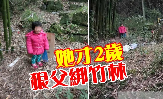 如此狠父! 竟把2歲女綁竹林只為找前妻 | 華視新聞