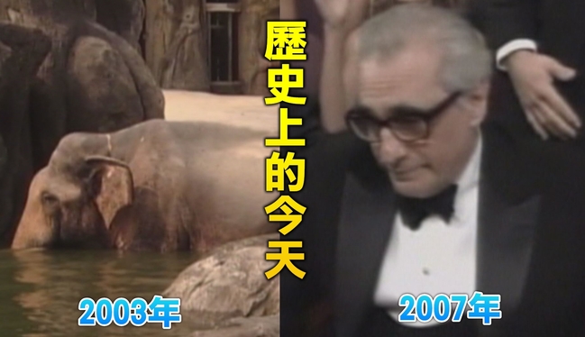 【歷史上的今天】2003大象林旺過世/2007電影神鬼無間奪奧斯卡四大獎 | 華視新聞
