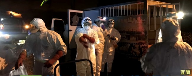 宜蘭三星再爆H5禽流感 今撲殺5000隻鴨 | 華視新聞