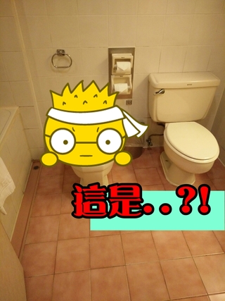 【影】飯店廁所出現"這個" 網友解答長知識