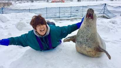【圖輯】抱緊處理! 紋別海豹獲得玩偶甜笑太萌 | 飼養員和海豹一起仰頭大笑。