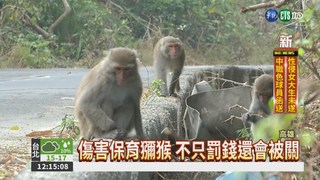 壽山猴遭BB槍襲擊 反攻擊民眾