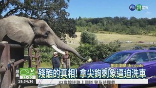 大象會洗車 背後真相超殘酷