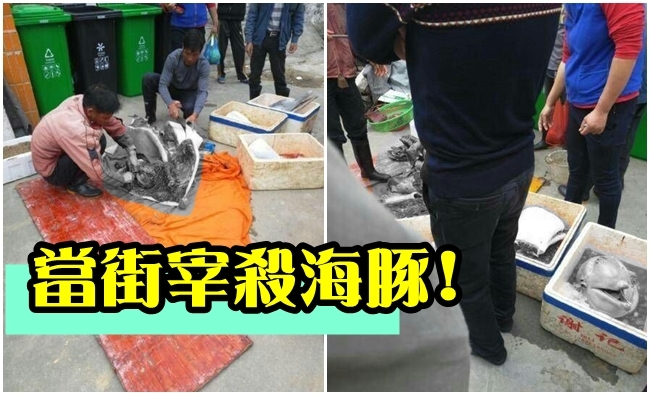 廣東吃貨無極限! 獵殺"白海豚"當街大卸八塊 | 華視新聞