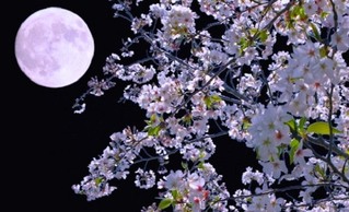 粉紅月亮日本限定?! 天文景象台灣也有過
