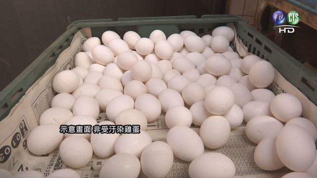 桃園2蛋行流入戴奧辛雞蛋 封存921公斤 | 華視新聞
