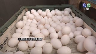 桃園2蛋行流入戴奧辛雞蛋 封存921公斤