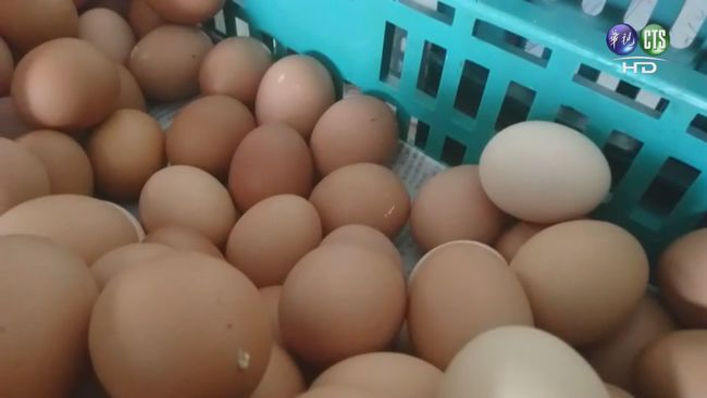 【午間搶先報】雞蛋戴奧辛超標 疑飼料混入灰渣 | 華視新聞