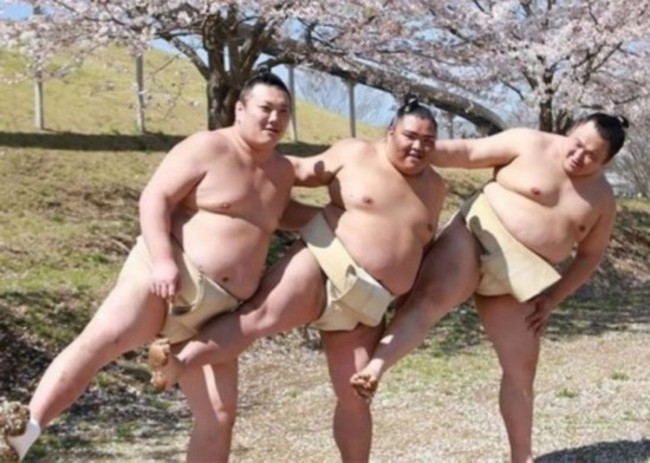 【圖】相撲選手櫻花樹下拍寫真 嫵媚樣讓網友"想打人" | 華視新聞